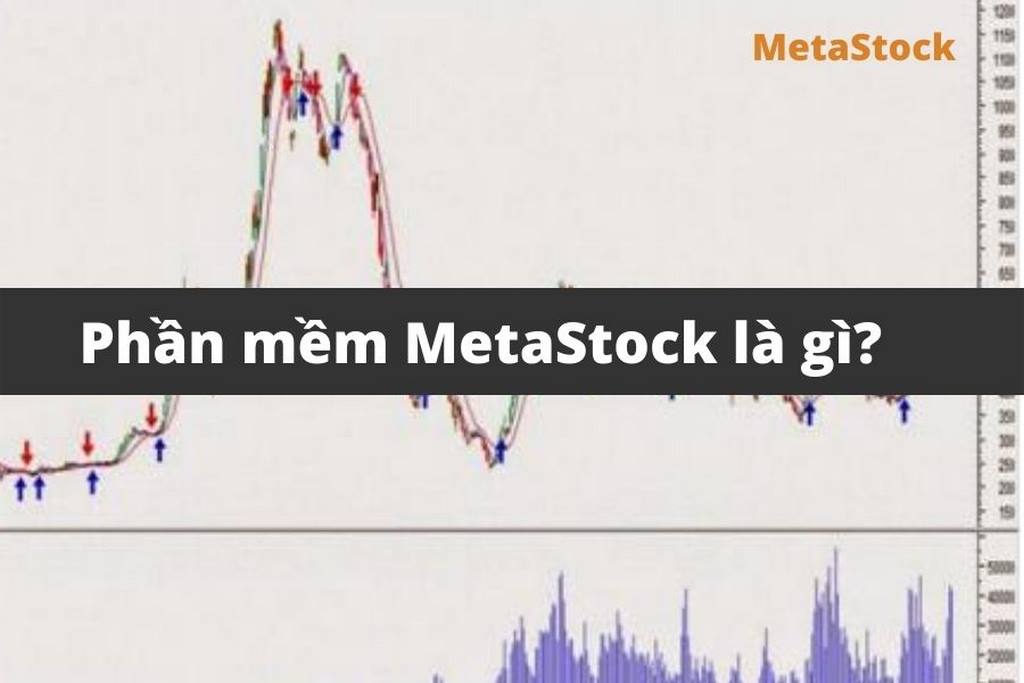 MetaStock 