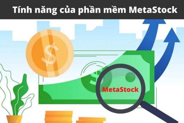MetaStock