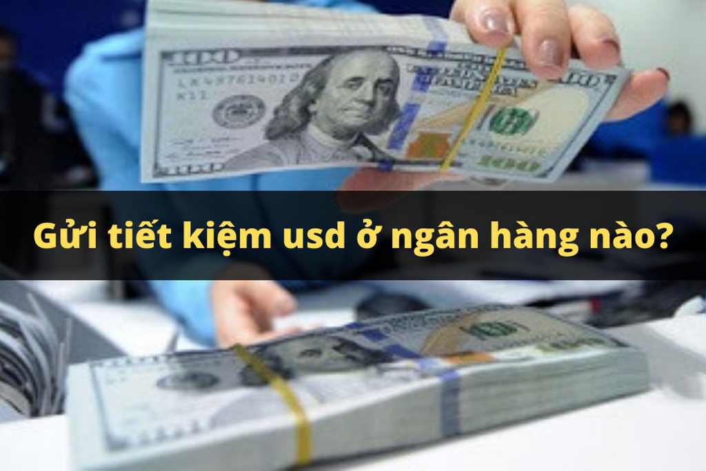 Gửi tiết kiệm usd