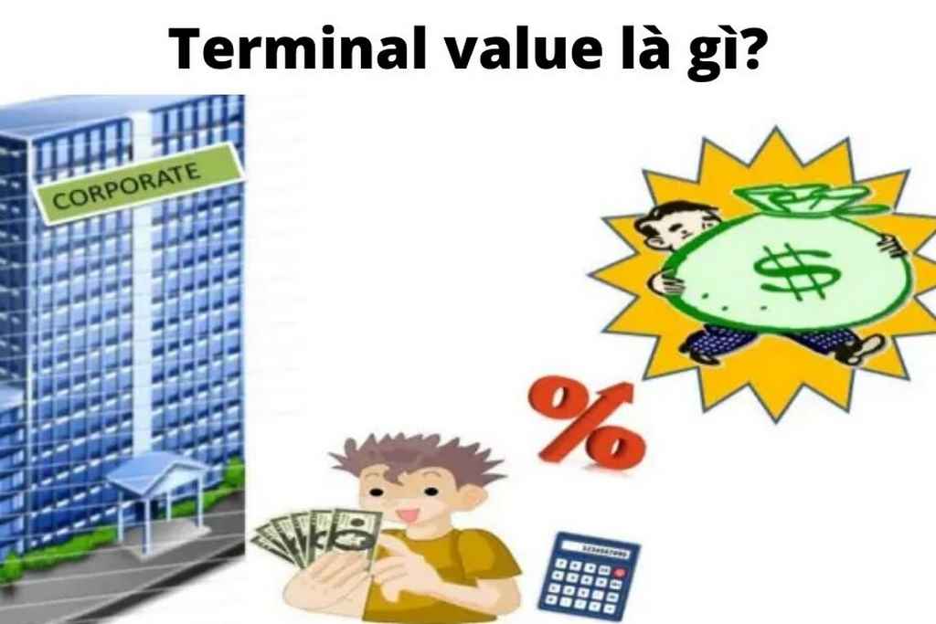 Terminal value 