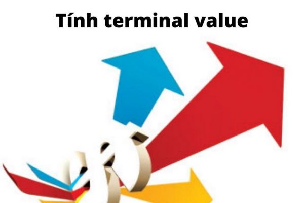 Terminal value