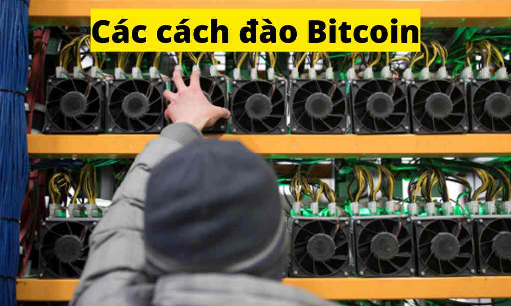 Đào Bitcoin